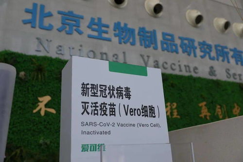 本土新增108例，防疫健康包與應對指南